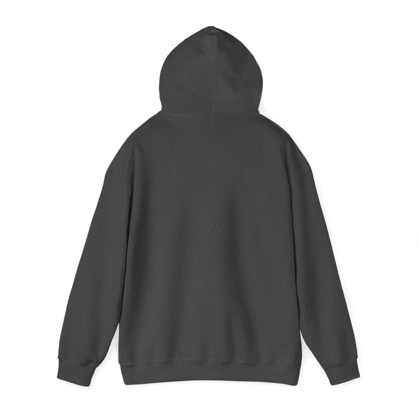 Mikasa Hoodie #103